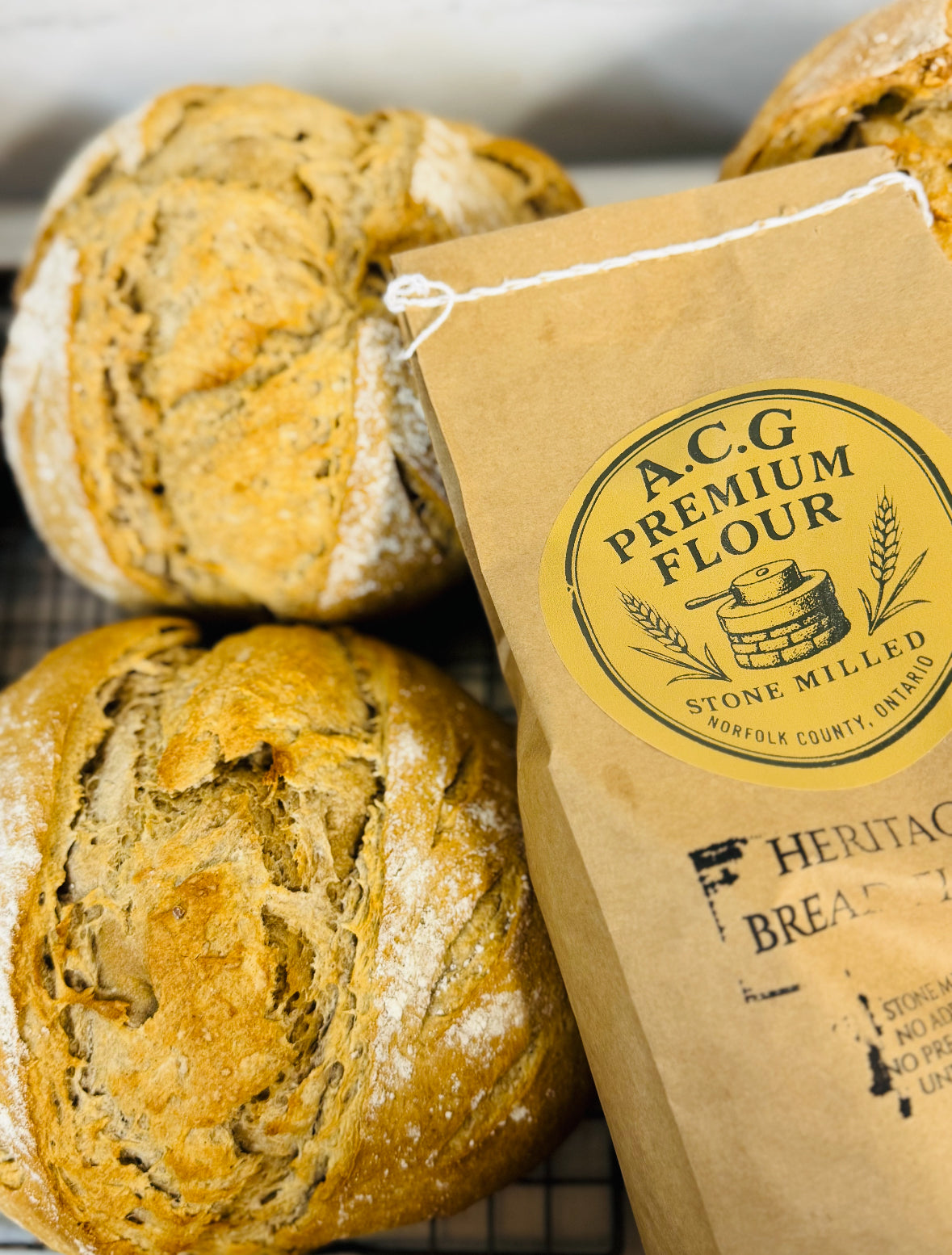 THE CHRISTMAS PARTY BUNDLE