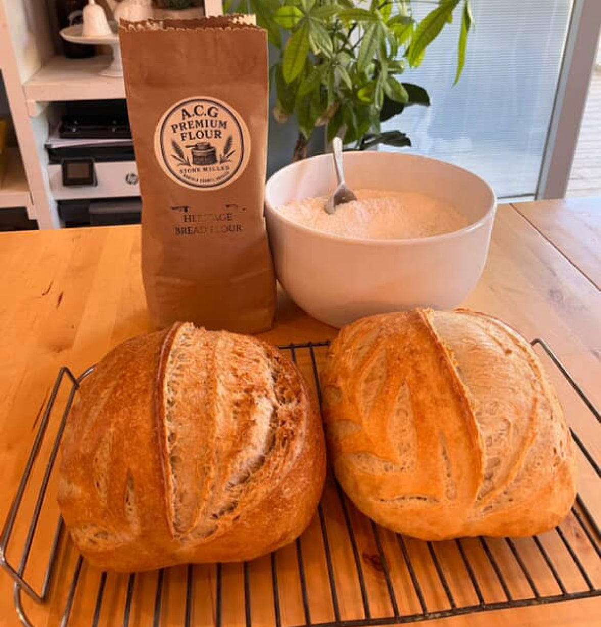 THE BIG BAKER BUNDLE